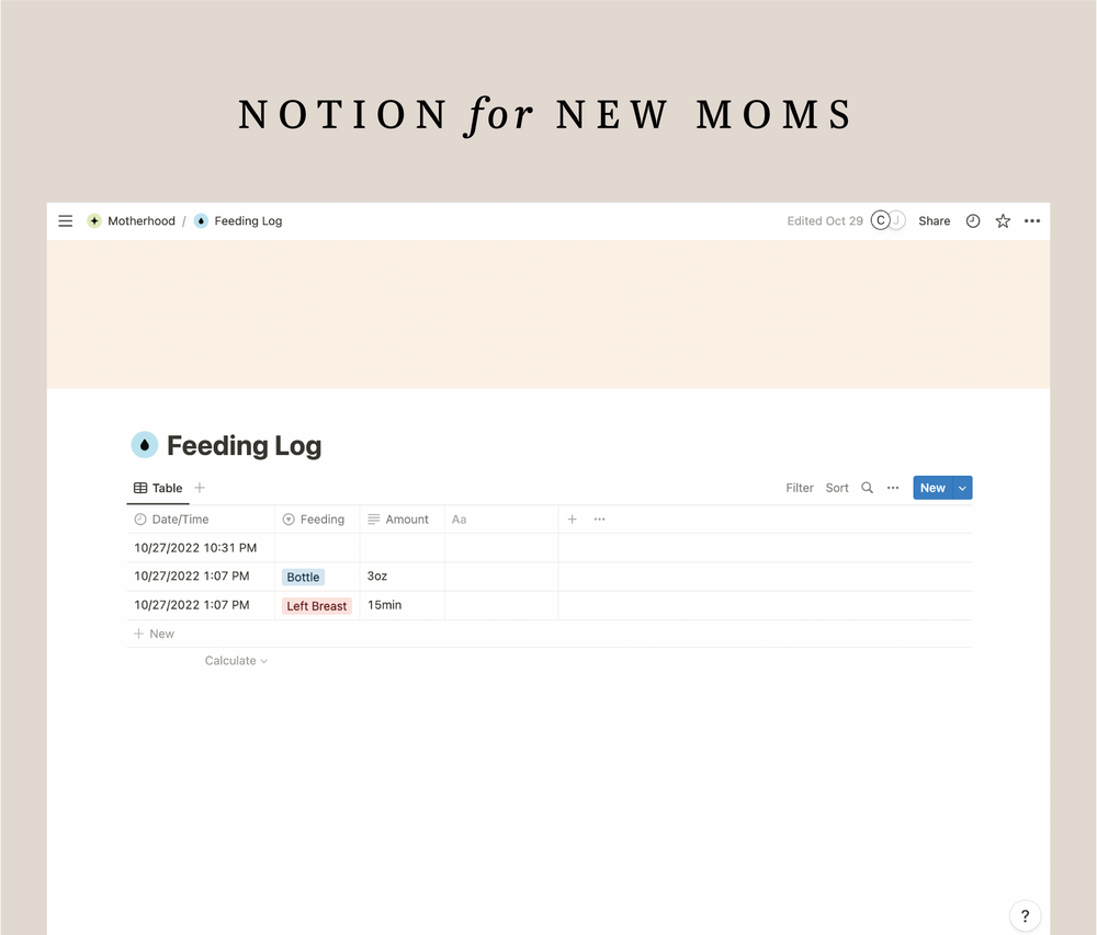 Aesthetic Notion Template for New Moms